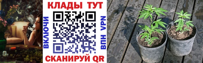 ГАШИШ Ногинск