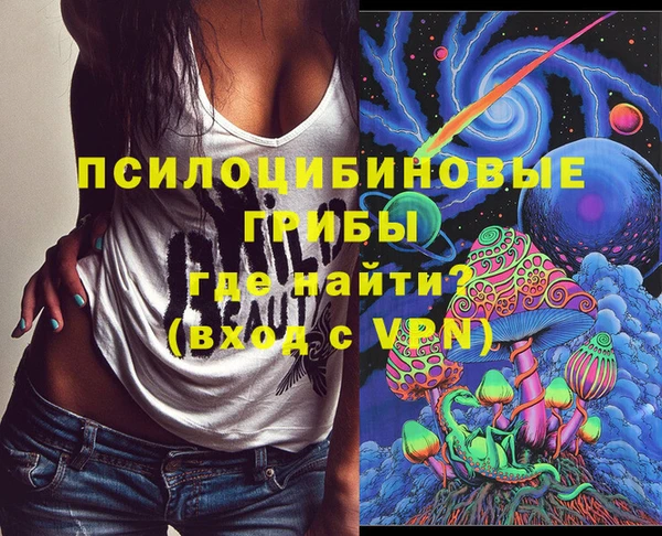 крисы Краснослободск