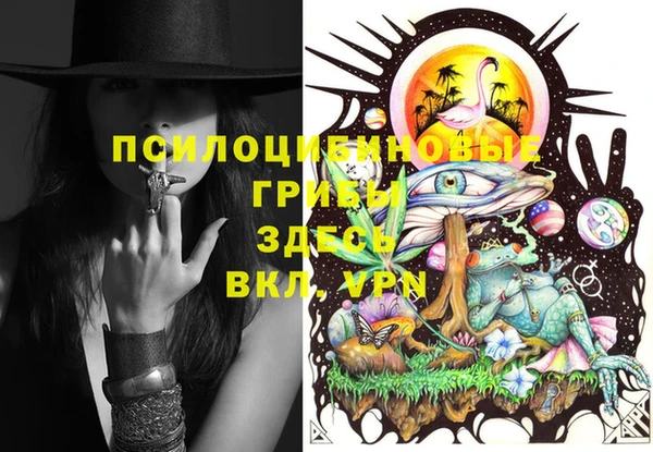 крисы Краснослободск