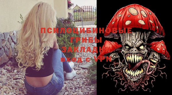 шишки Красноперекопск